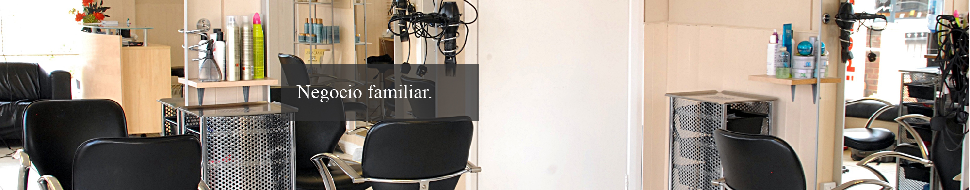 Asempal - Asesoria laboral, contable, fiscal y mercantil de Alicante